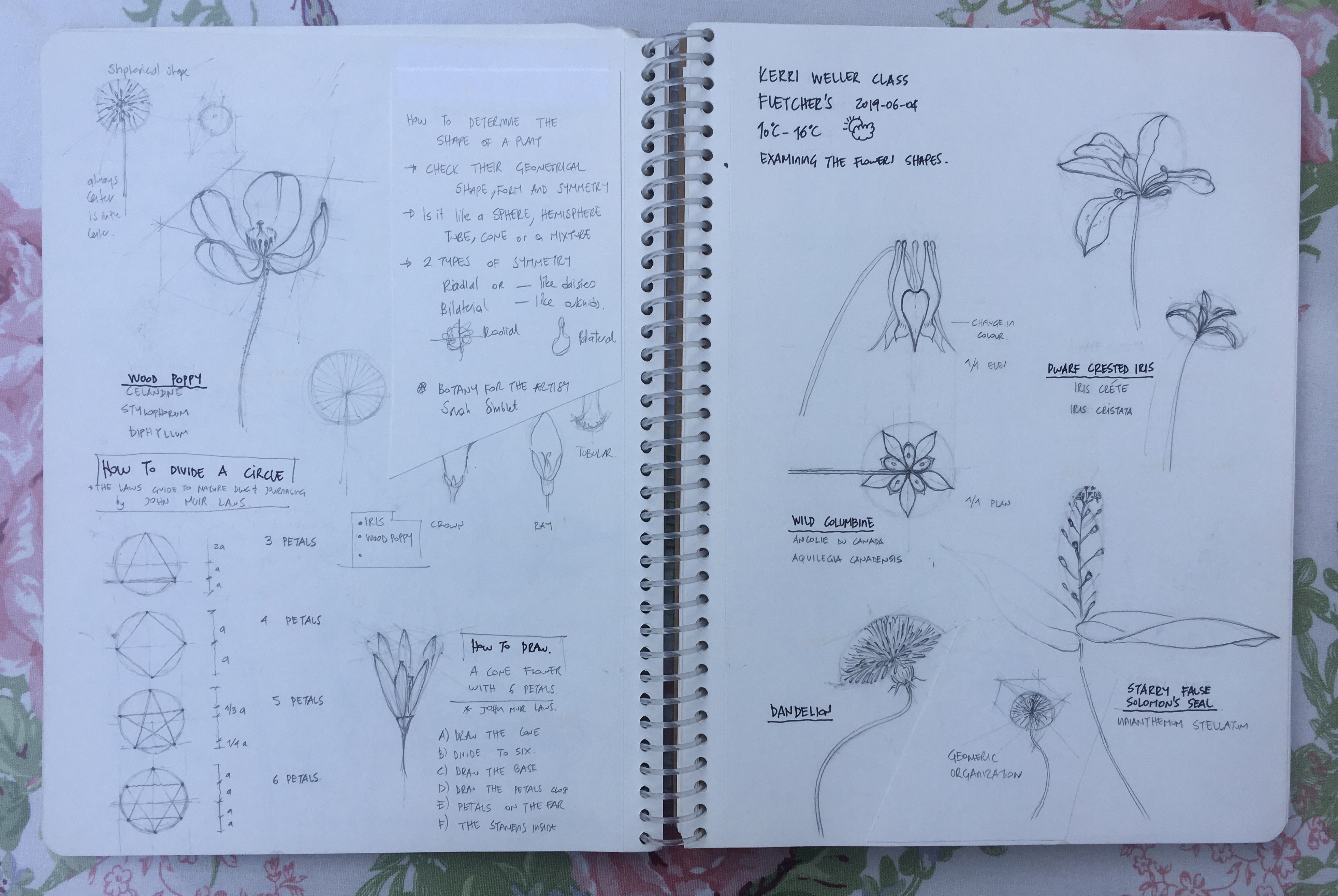 Nature Logbook