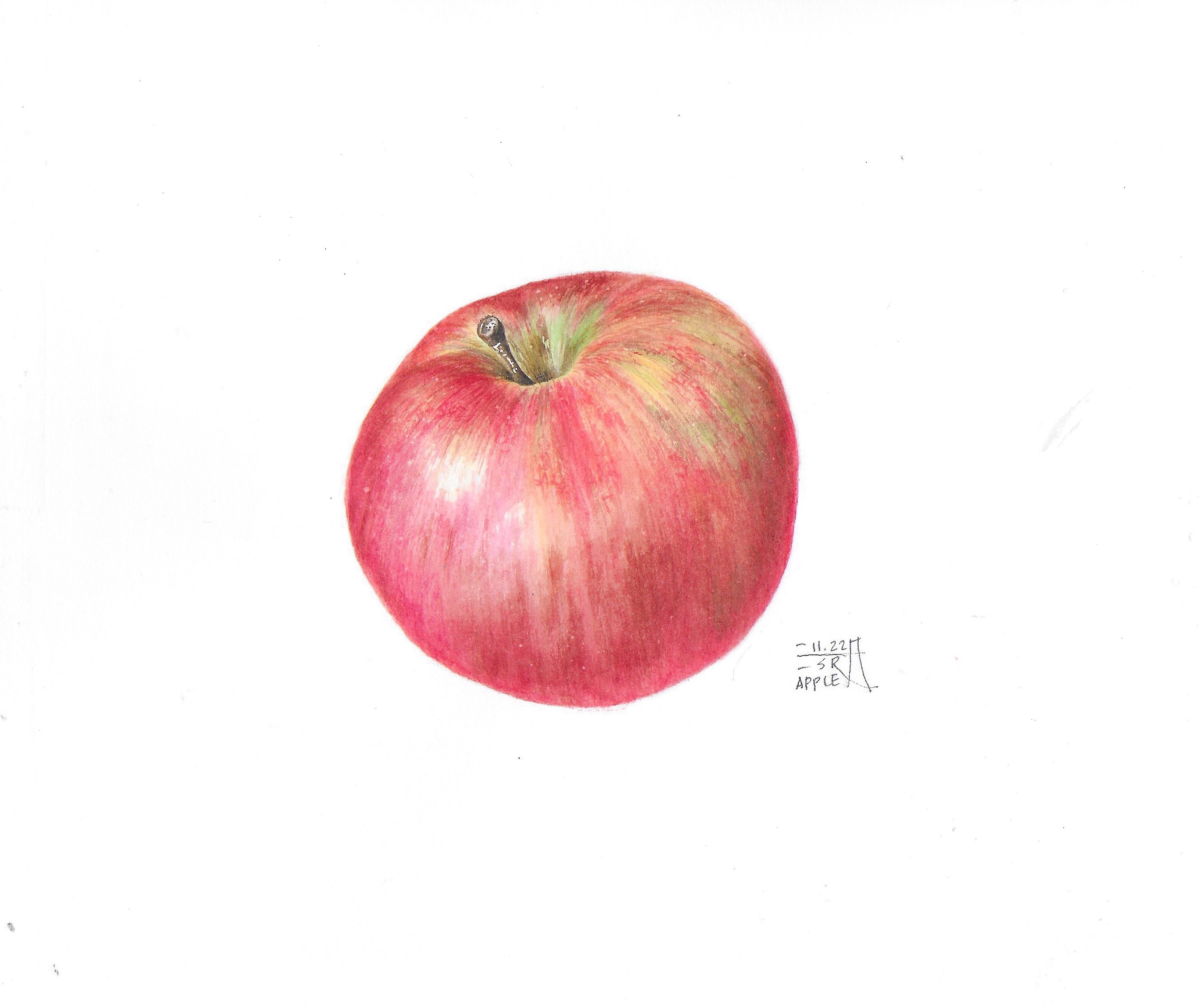 Green apple watercolour