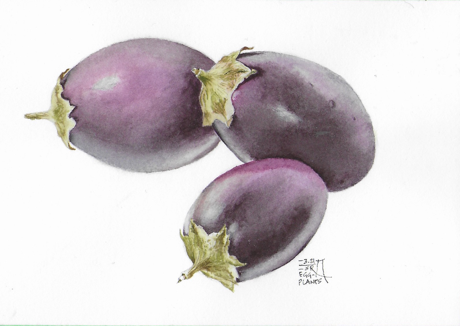 Eggplant watercolour — Intermediate