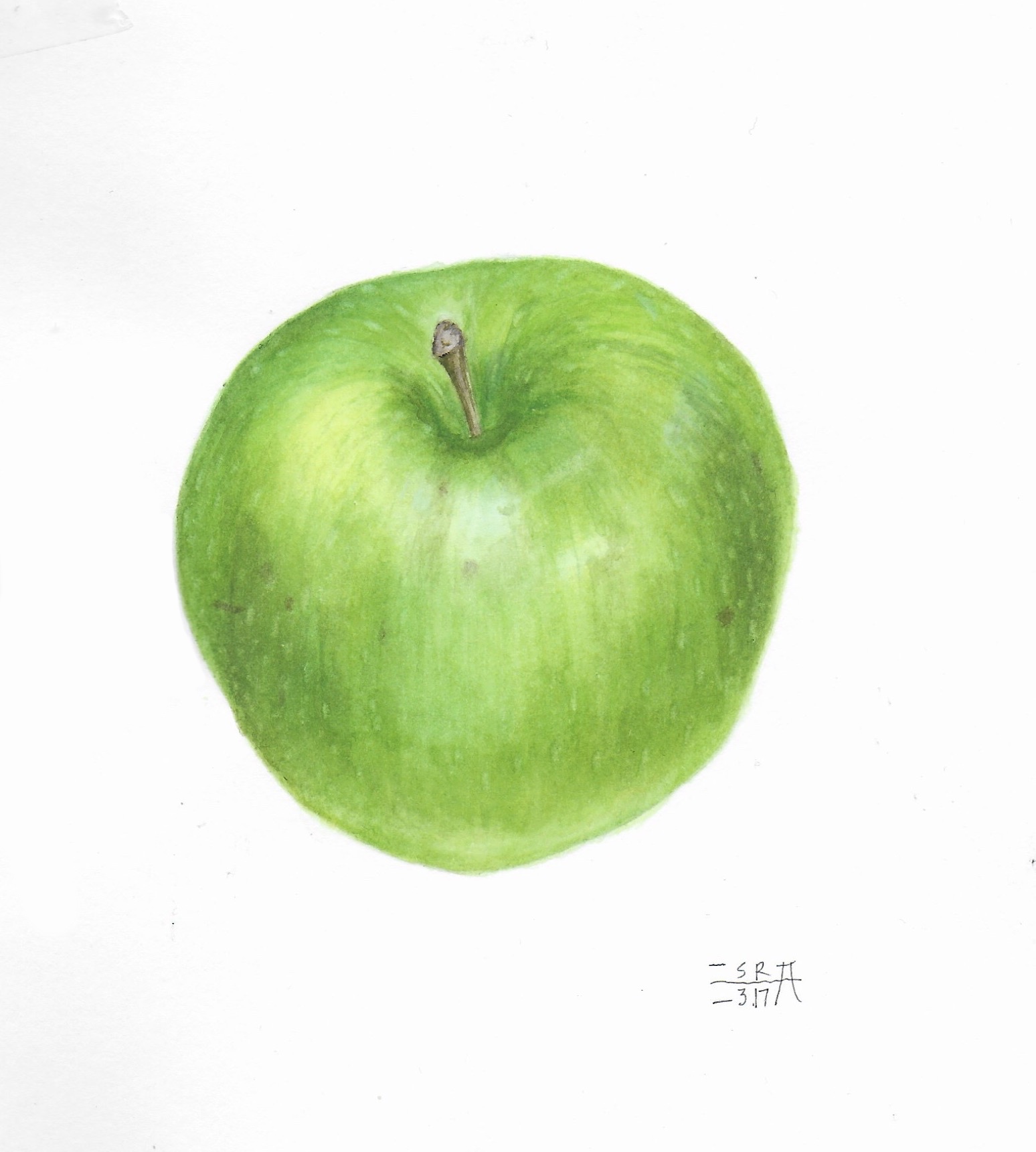 Watercolour Fundamentals