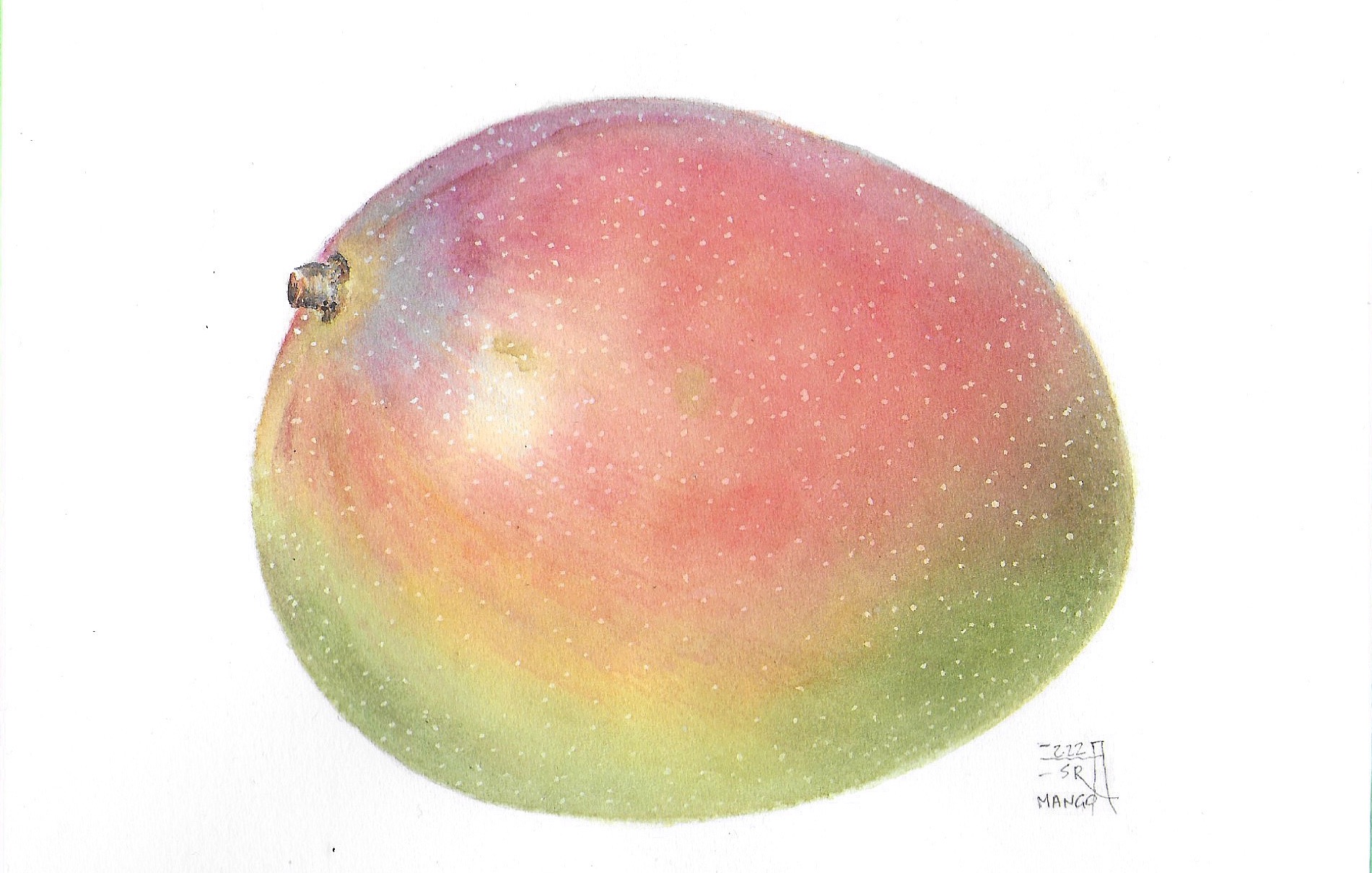 Mango 2022