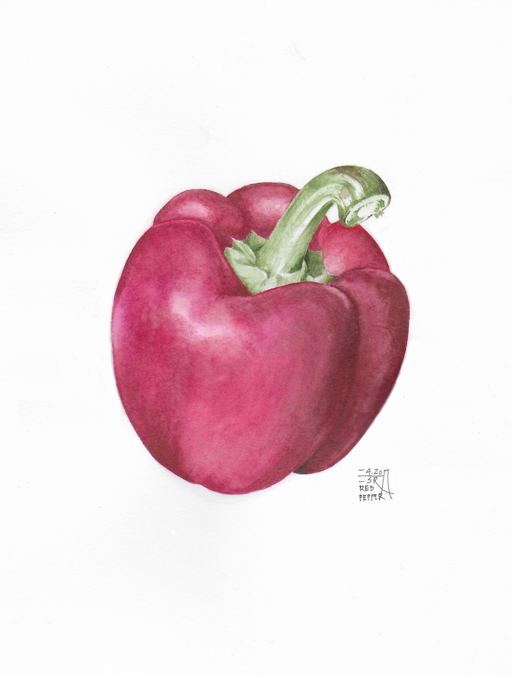 Red Pepper 2020