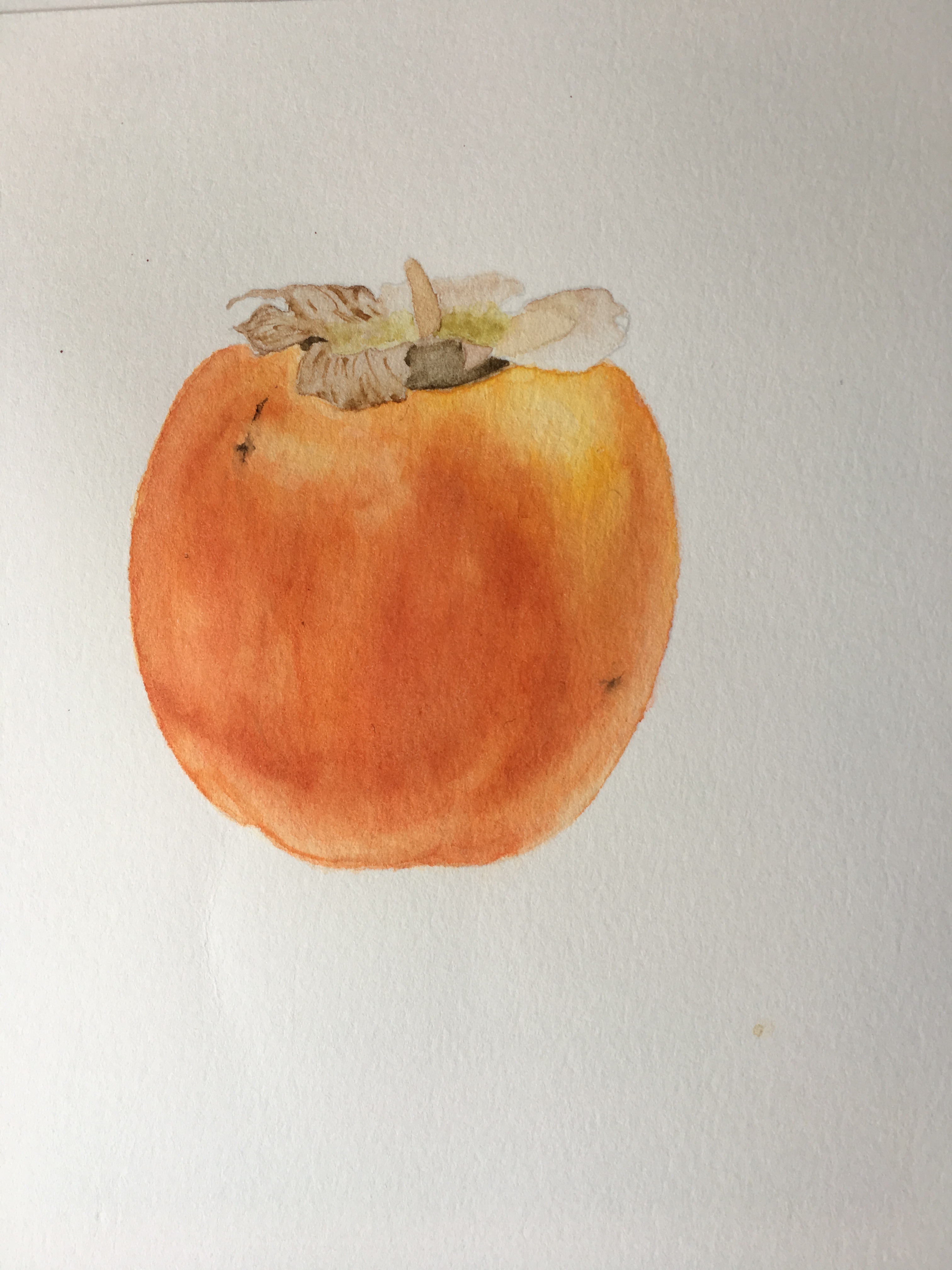 Botanical painting