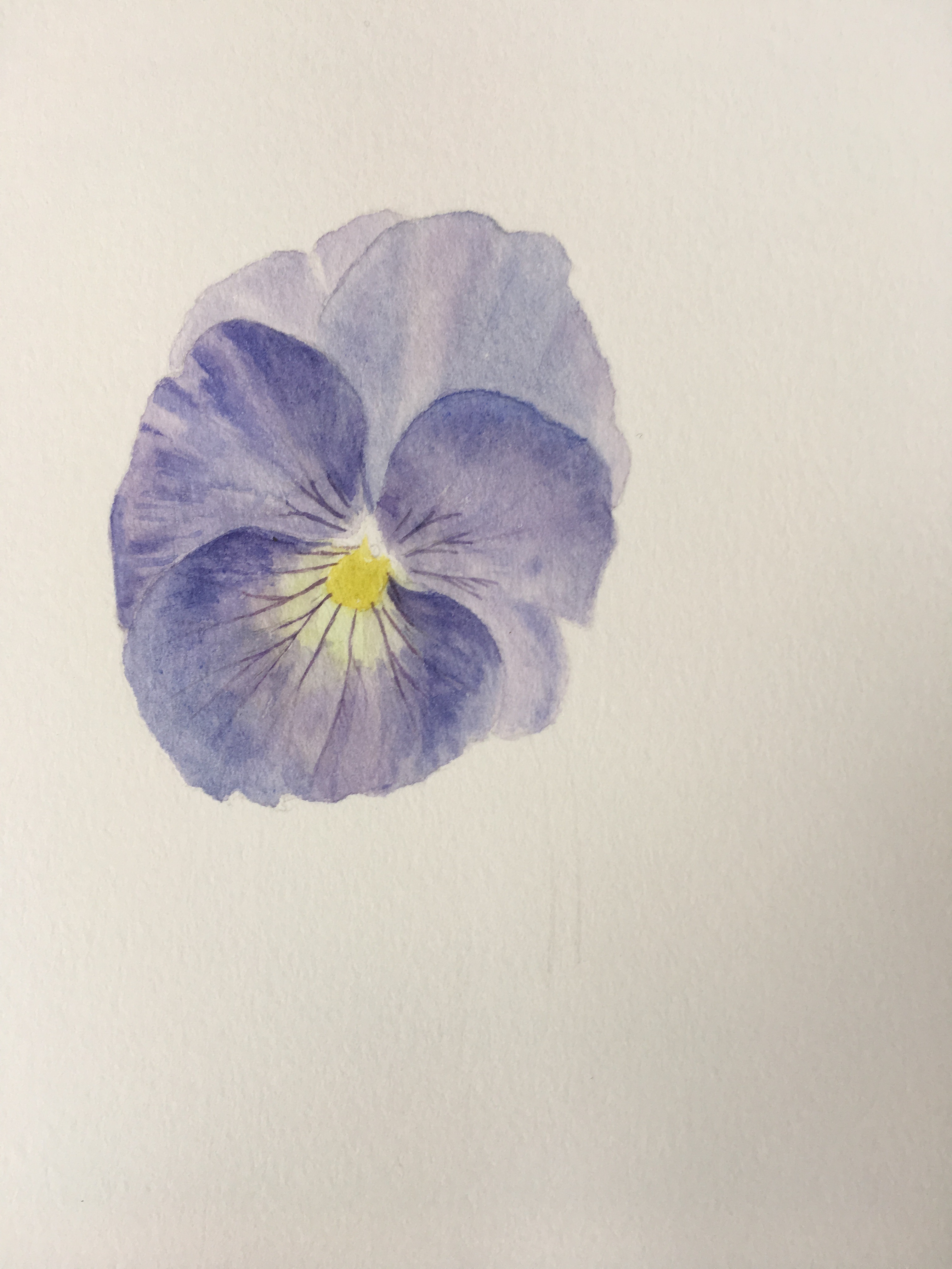 Botanical painting